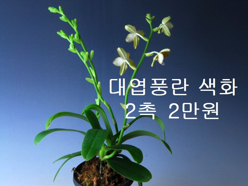 즐난 직거래장터
